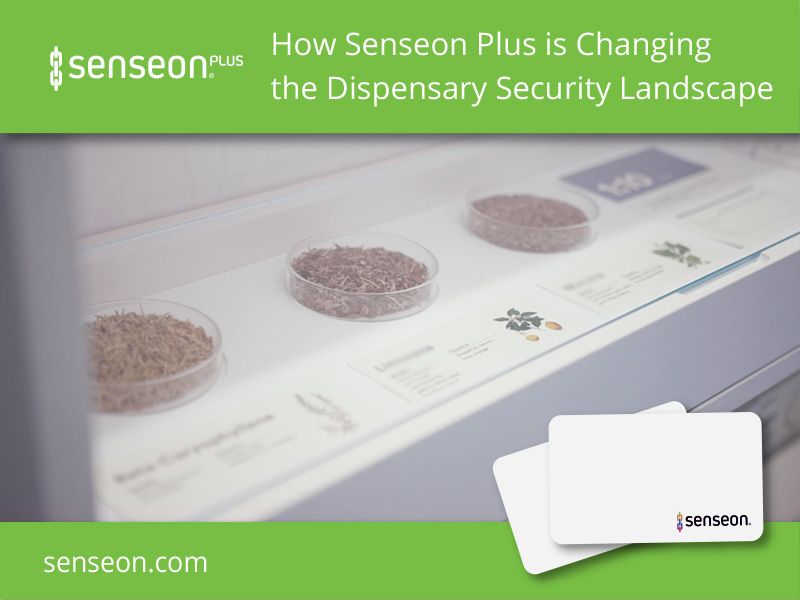 How Senseon Plus is Changing the Dispensary Security Landscape